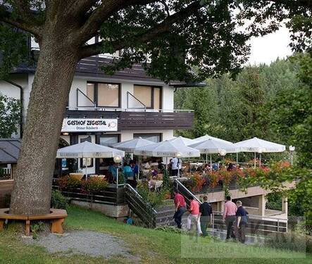 Biergarten - Hotel, Pension, Gasthof in Schwarzenbach am Wald / Gottsmannsgrün zum Kaufen