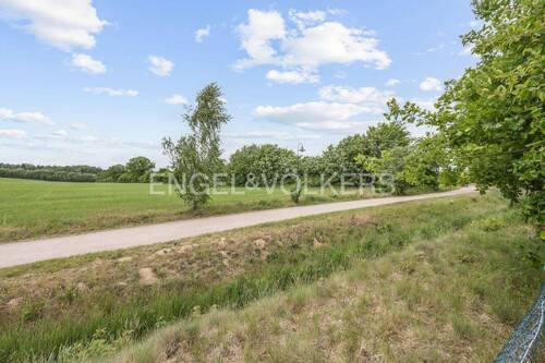 Feldrand - 