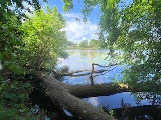 Teltowkanal - Grundstück zum Kaufen in Teltow