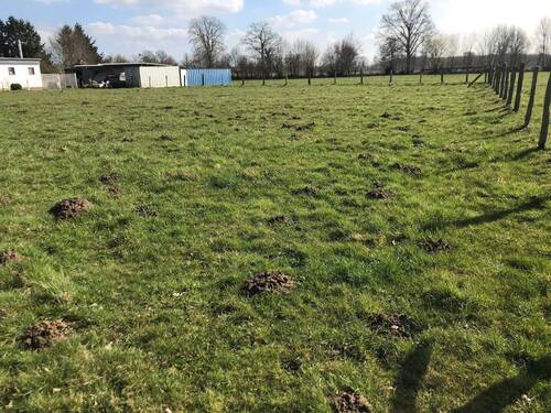 Ansicht Grundstück - Grundstück zum Kaufen in Lübeck