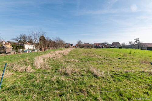 Baugrundstück Bodenansicht Feldseite 2 - 