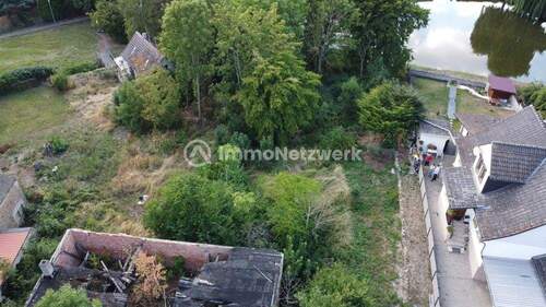 Bild 3 - Grundstück in Eggenstedt (Wanzleben-Börde)