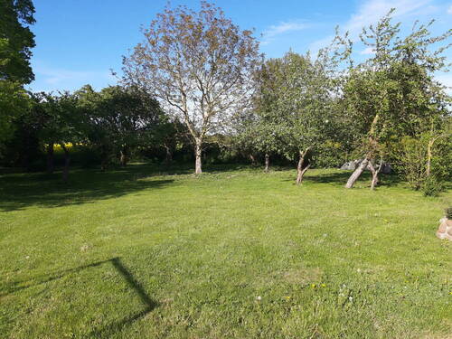 Garten - Mehrfamilienhaus, Wohnhaus mit 145,00 m&sup2; in Splietsdorf zum Kaufen