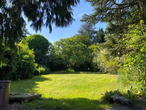 Blick in den Garten - 
