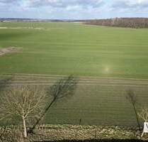 Großes Baugrundstück in Eversdorf - VB - Salzwedel Böddenstedt