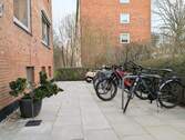 Modern: Neu angelegter Vorgarten mit Fahrradständern - 