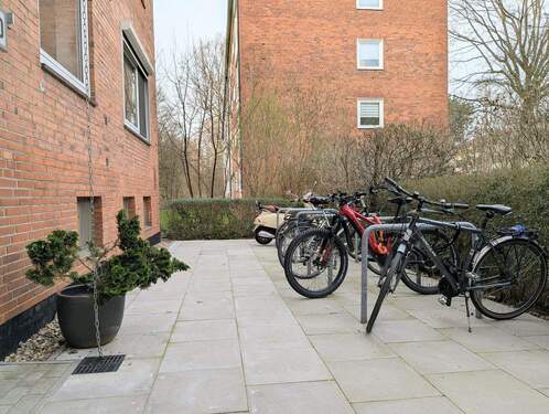 Modern: Neu angelegter Vorgarten mit Fahrradständern - 