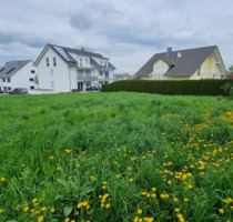 Sonniges Baugrundstück in Birkenfeld - Ruhige Lage im beliebten Wohngebiet 