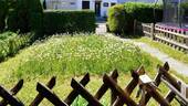 Garten - Reihenmittelhaus mit 110,00 m&sup2; in Friedrichshafen zum Kaufen