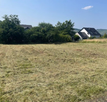 Exklusives Baugrundstück mit Panoramablick auf Saar und Weinberge - Ruhige Lage in Wiltingen