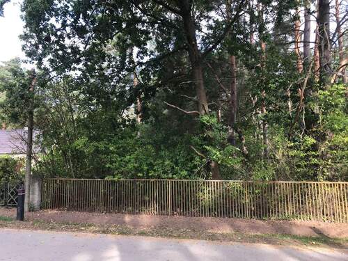 IMG_2809.JPG - Grundstück zum Kaufen in Königs Wusterhausen