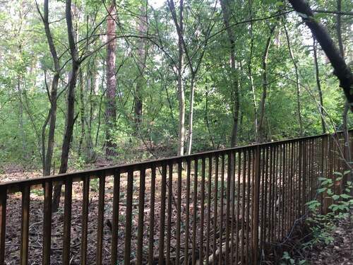 IMG_2764.JPG - Grundstück in Königs Wusterhausen