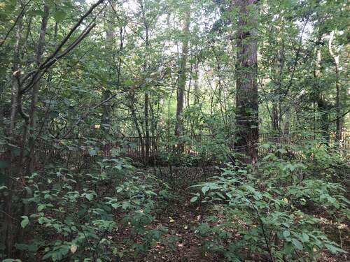 IMG_2757.JPG - Grundstück in Königs Wusterhausen zum Kaufen