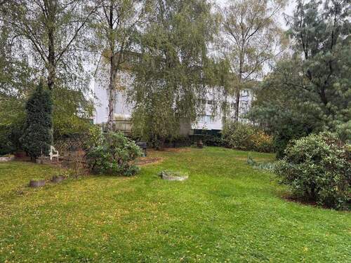 Gemeinschaftsgarten - 