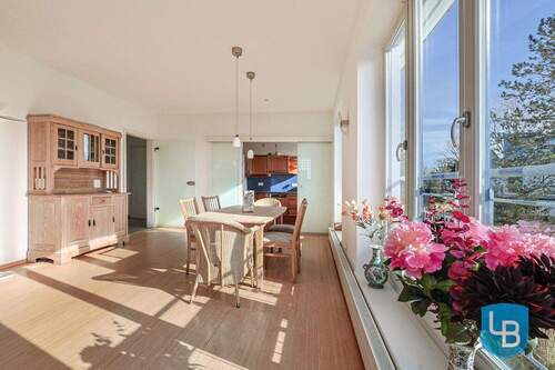 Blick vom Wohnzimmer - 