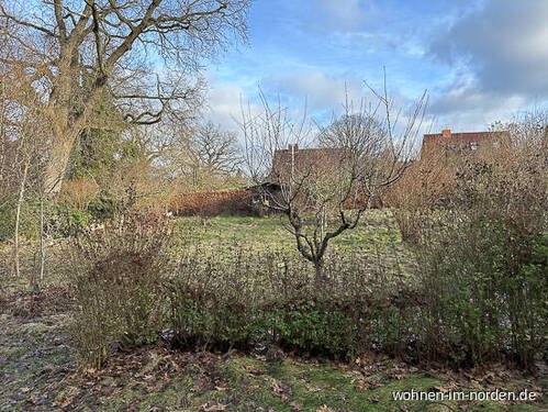 Blick aus Wohnzimmer - 