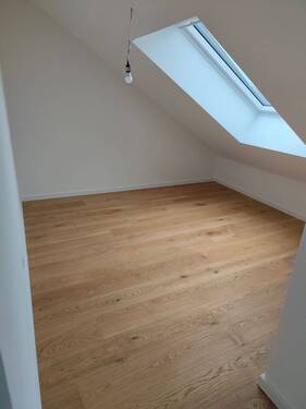 IMG_20250910_103845.jpg - 