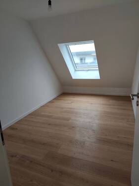 IMG_20250910_104226.jpg - 