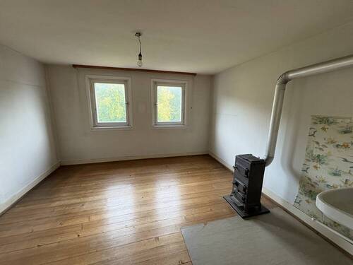 Zimmer DG - 