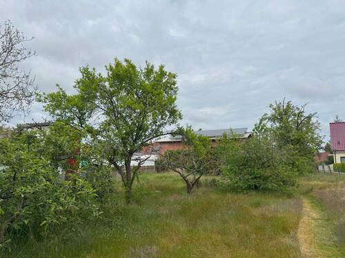 Garten - 