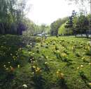 Volkspark Wilmersdorf - 
