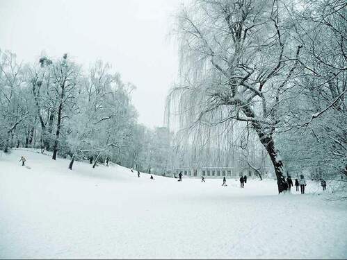 Volkspark Wilmersdorf - 