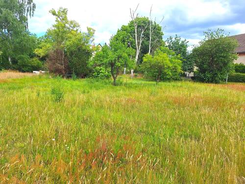 Frontalblick.jpg - Grundstück in Spremberg