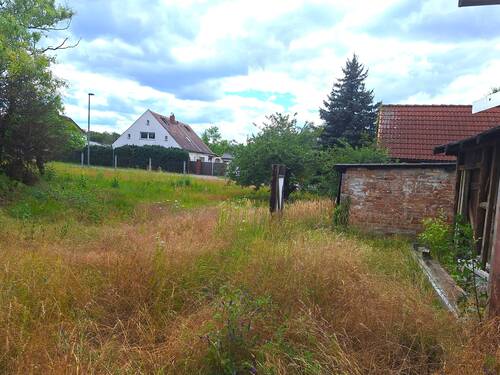 Grenze zum Nachbarn.jpg - 