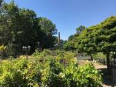 Freifläche Gartenfachmarkt 2000 m² - 