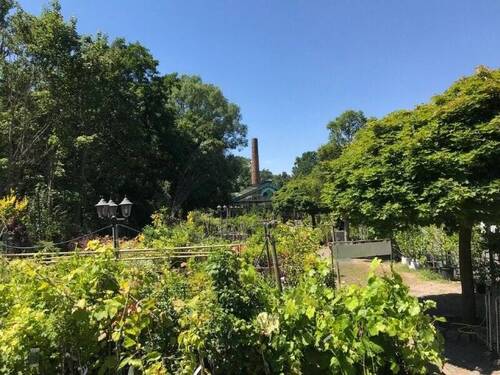 Freifläche Gartenfachmarkt 2000 m² - 