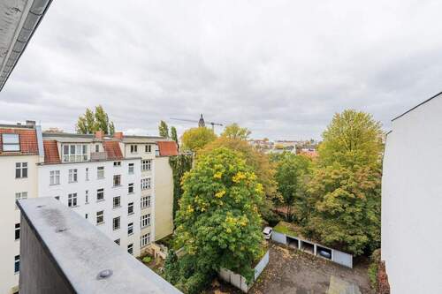 Blick ins Grüne - 