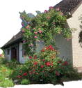 Haus seitlich - 6 Zimmer Einfamilienhaus zum Kaufen in Tosterglope