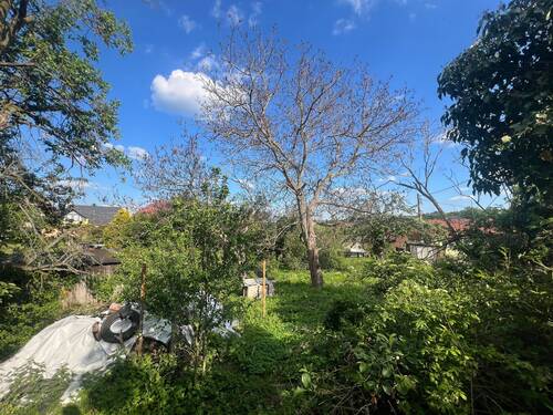 IMG_2702.jpeg - Grundstück in Glashütte