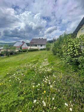 Baugrundstück (2).jpg - 