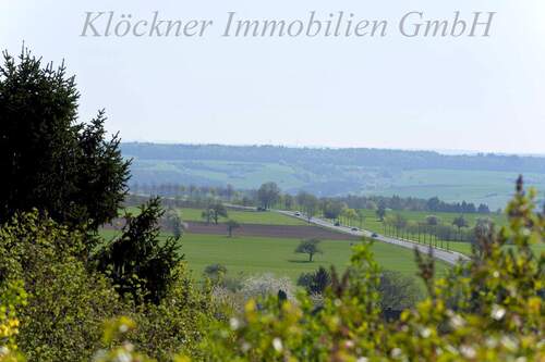 Blick ins Grüne - 