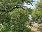 Ausblick Schlafzimmer - 