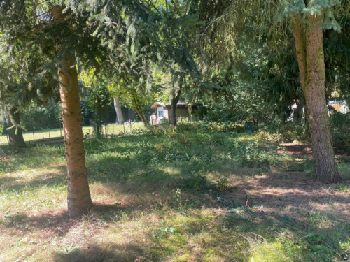 a624e469-e2c5-40ce-ab5d-814c12f2d706 - Großzügiges Baugrundstück in Toplage von Rangsdorf - direkt am Naturschutzgebiet