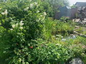 Teich und Terasse - 