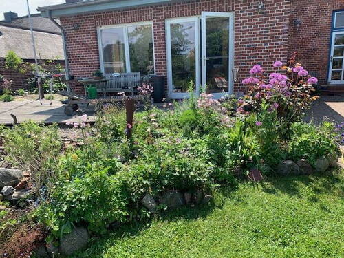 Anbau und Terasse - 
