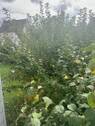 Bild 9 - 