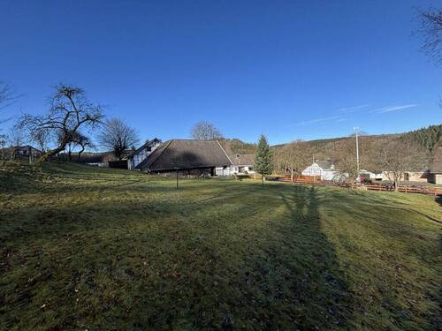 Blick Richtung Strasse - 