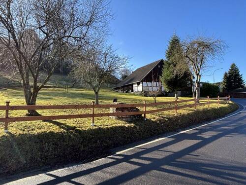 Blick zum Haus von der Strasse - 