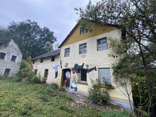 Mühle mit Nebengebäude - 