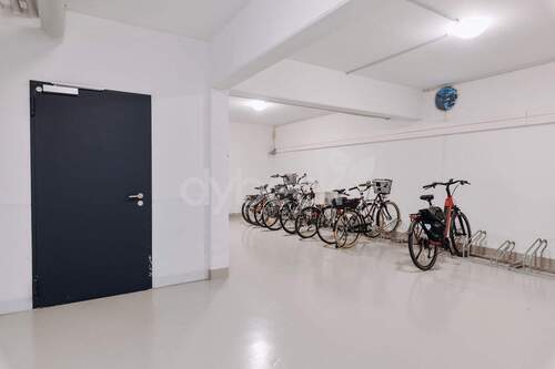 Fahrradkeller - 