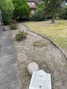 IMG-20250821-WA0000 - 