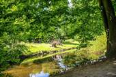 Schlosspark - 