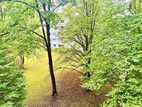 Blick aus ihrer Wohnung - 