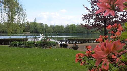 Schwanenteich Zwickau - 