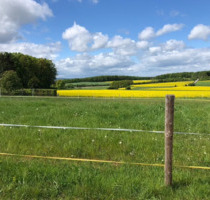 Traumhaftes Baugrundstück mit unverbaubarem Blick in Mechernich - Ruhe und Sonne
