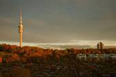 Wohnen in Schwabing-West - FIRSTPLACE - Vorankündigung: Großzügige Terrassenwohnung in Schwabing West - direkt am Olympiapark